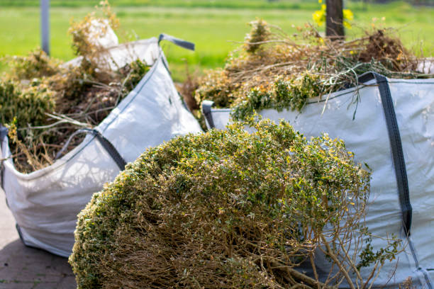 Best Affordable Junk Removal Services  in Englewood, OH